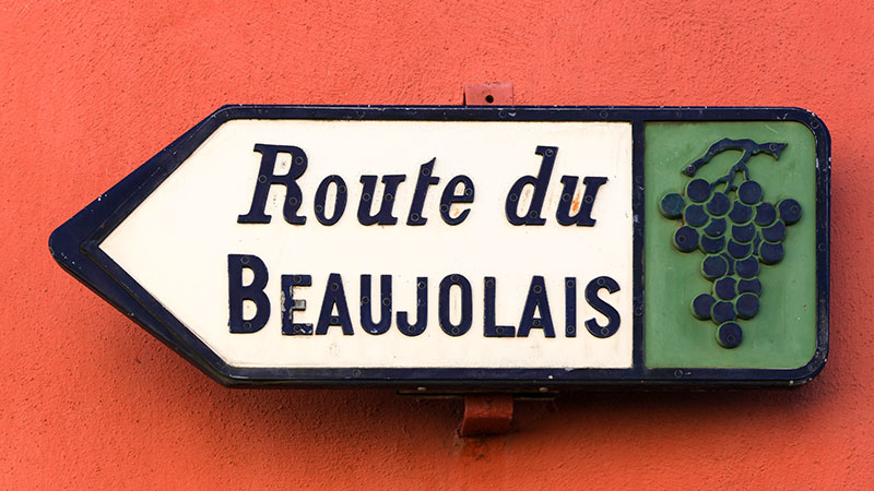 Beaujolais Nouveau-cruise