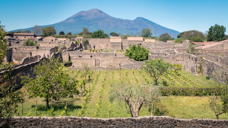 Herculaneum, Pompeii og videre til Feudi di San Gregorio