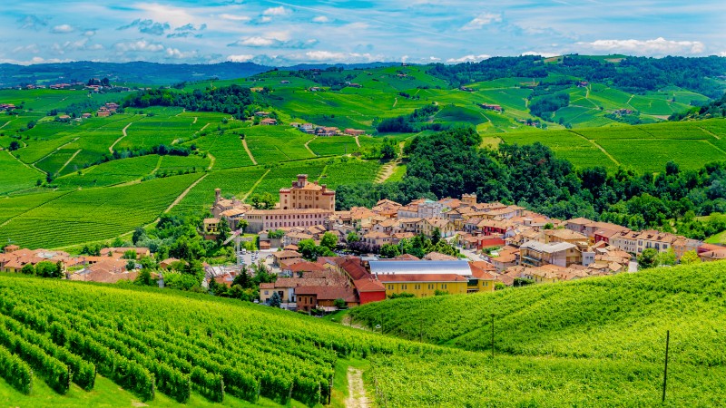 Barolo omgitt av grønne vinmarker