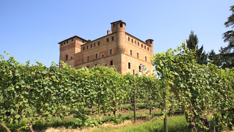 Gammelt slott på en høye med vinranker i forgrunnen