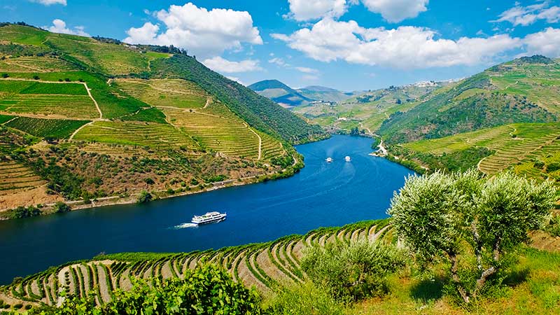 Elvecruise p Douro