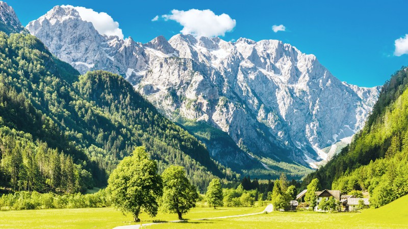 Logardalen Logardalen med mektige alpefjell i bakgrunnen