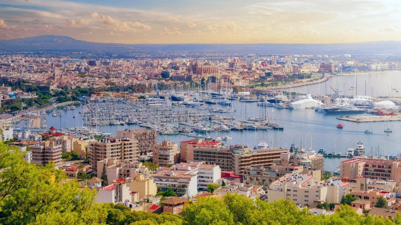 Palma Utsikt over Palma by og havnen fullt av båter
