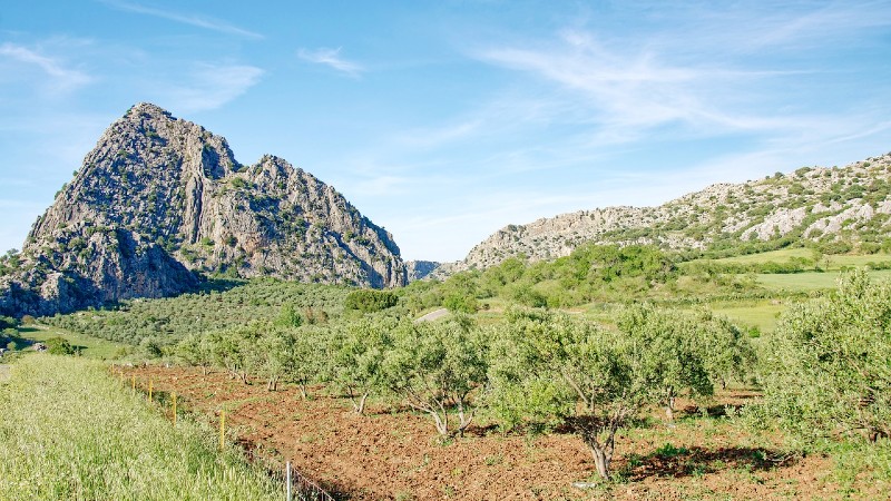 Vandring i Malaga-fjellene