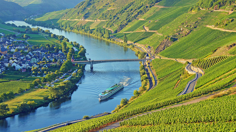 Elvecruisebåt på Mosel i vakker dal. Vinranker på en side og liten landsby på andre siden av elven.