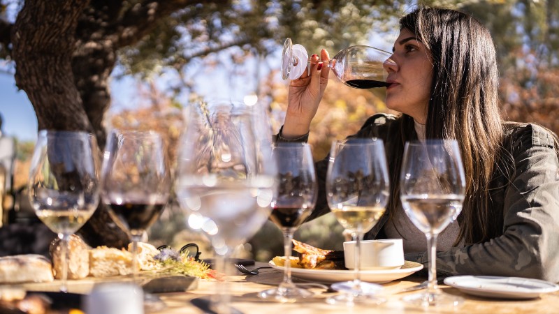 Bysightseeing i Mendoza & ving�rdsbes�k