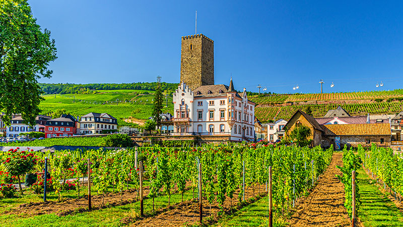 Rüdesheim