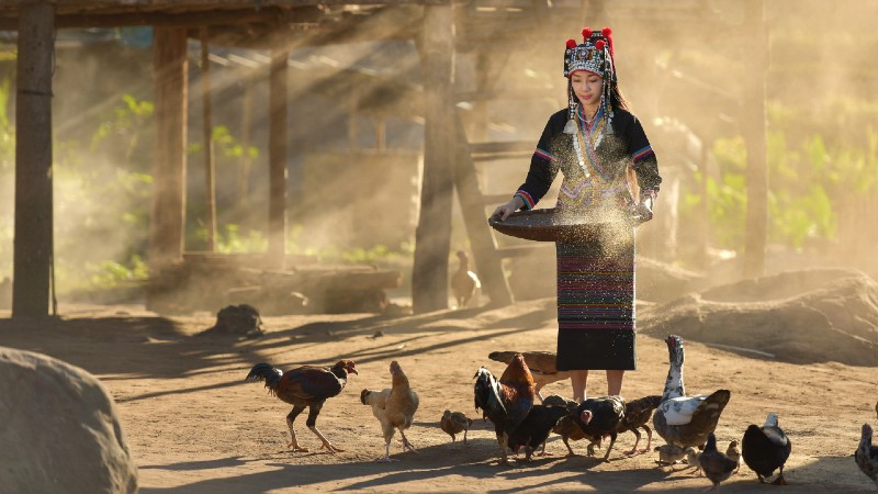 dame som mater fuglene