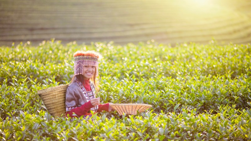 jente ute og jobber i 