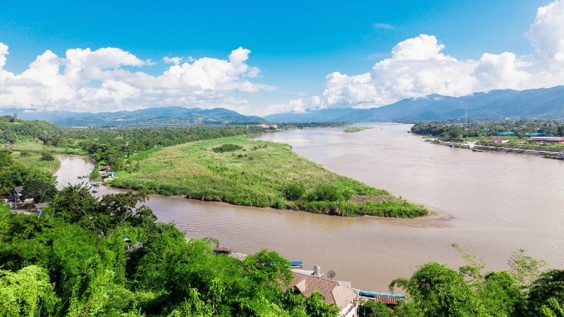 elver, flere m�tes, gr�nt areal