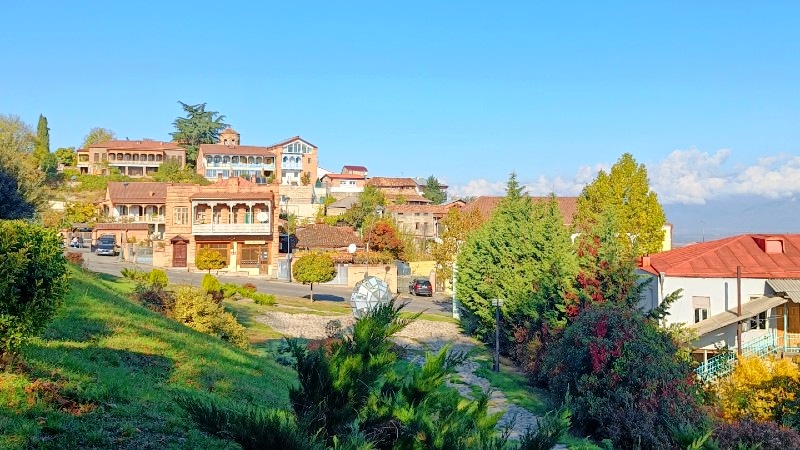 Telavi