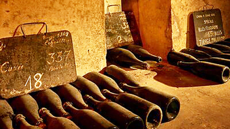 Gamle flasker i en vinkjeller