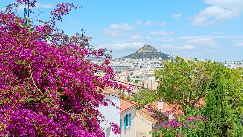 Athen Utsikt over Athen, med fine vårblomster i forgrunnen