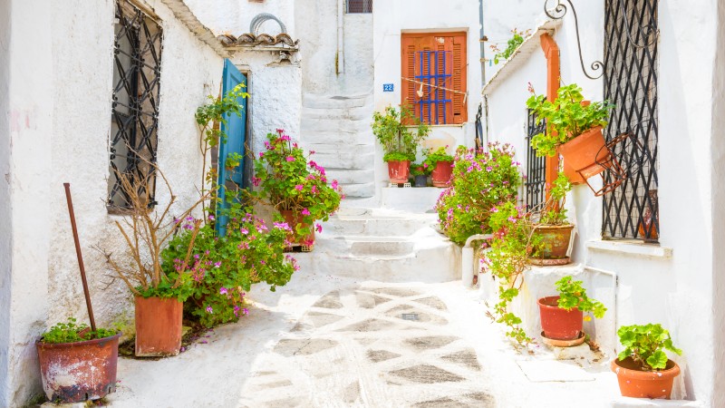 Athen Hyggelig liten gate med hvitkalkede hus