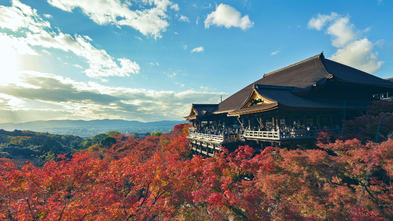 Tempel og hsttrr i Kyoto