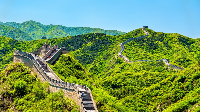 gr�nne �ser, og en lang mur i terrenget