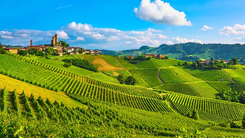 Grønne åssider i Piemonte