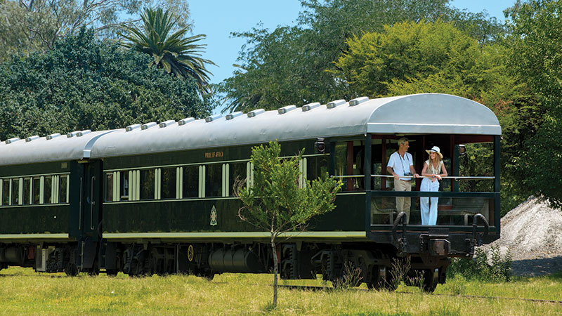 2 personer bakerst i observasjonsvognen på Rovos Rail toget, omringet av grønn natur