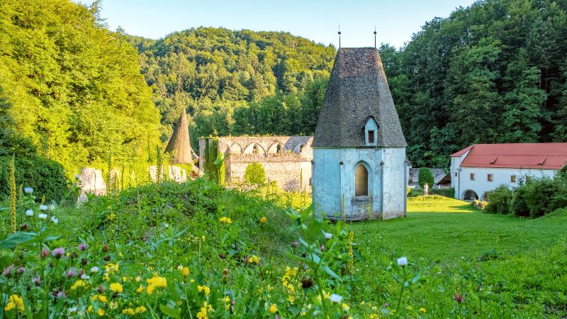 Žička Kartuzija-klosteret Kloster med skog rundt
