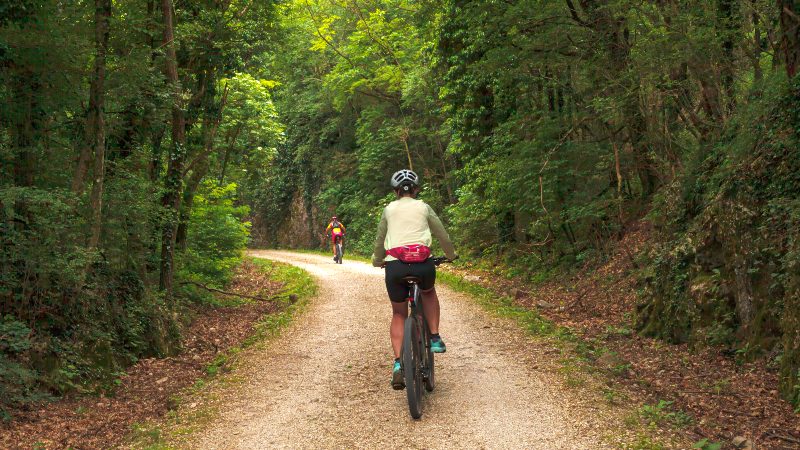Pohorje Sykkelsti i skogen