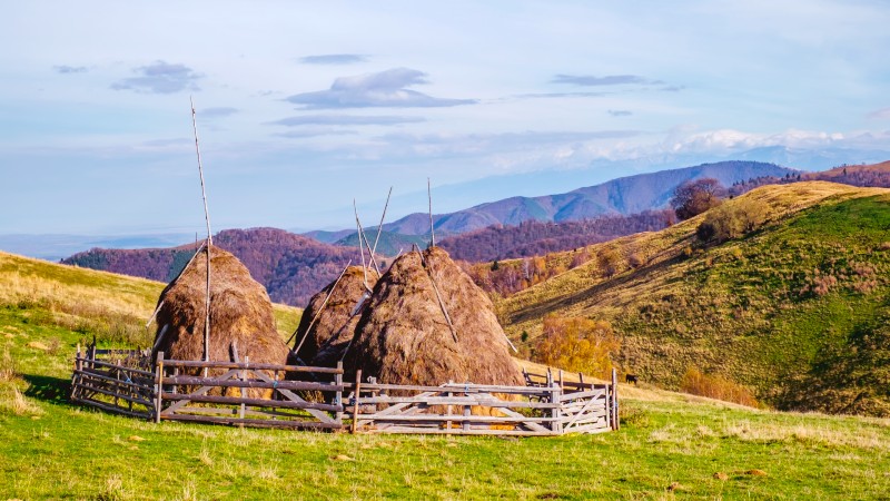 Hystakker i fjellandskapet ved Sibiu