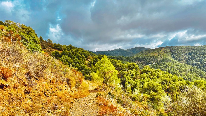 tursti, tr�r og fjell