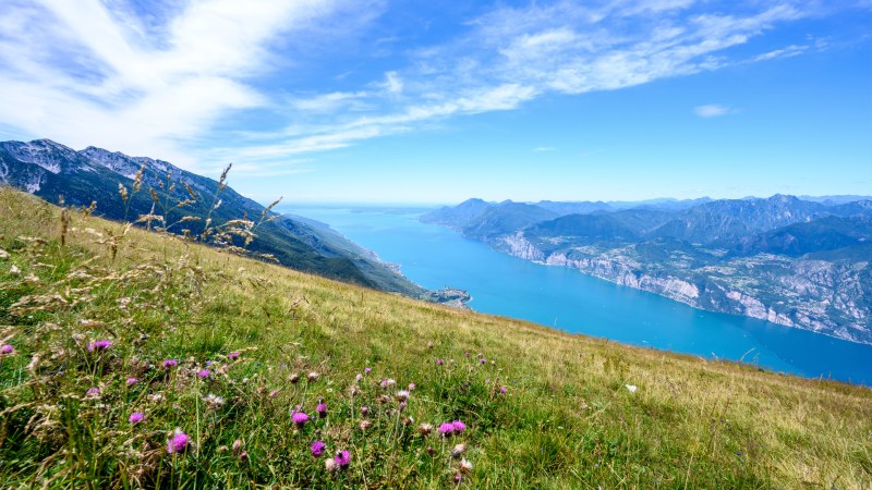 Monte Baldo blomster, gress, fjell og sjø
