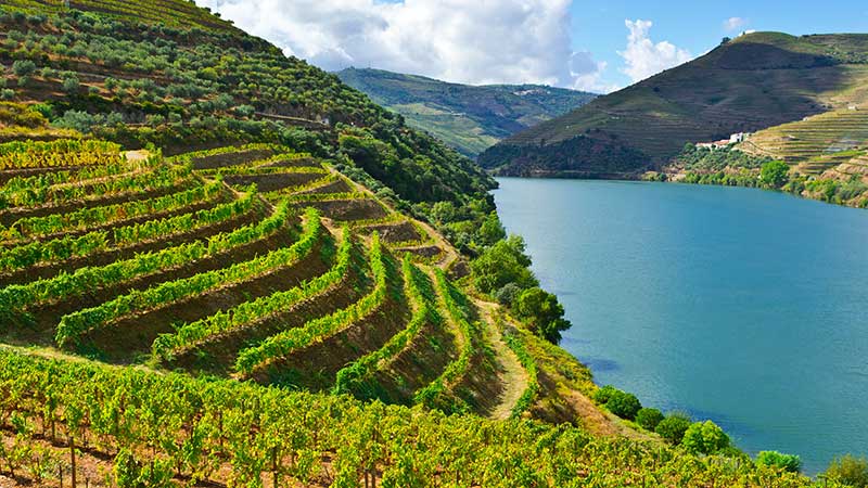 Douro-elven og grønne åssider med vinmarker