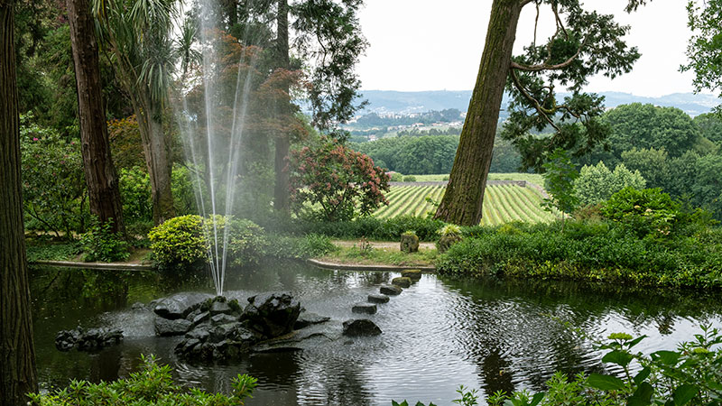 Dam og fontene, med vinmark i bakgrunnen på Quinta da Aveleda