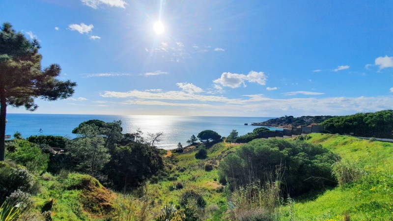 Utsikt ned mot havet