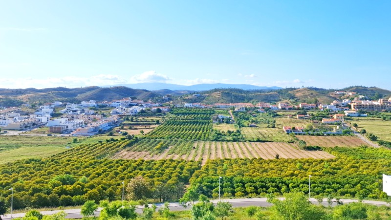 Vinmarker i Silves