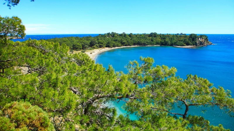 strand og grnne trr