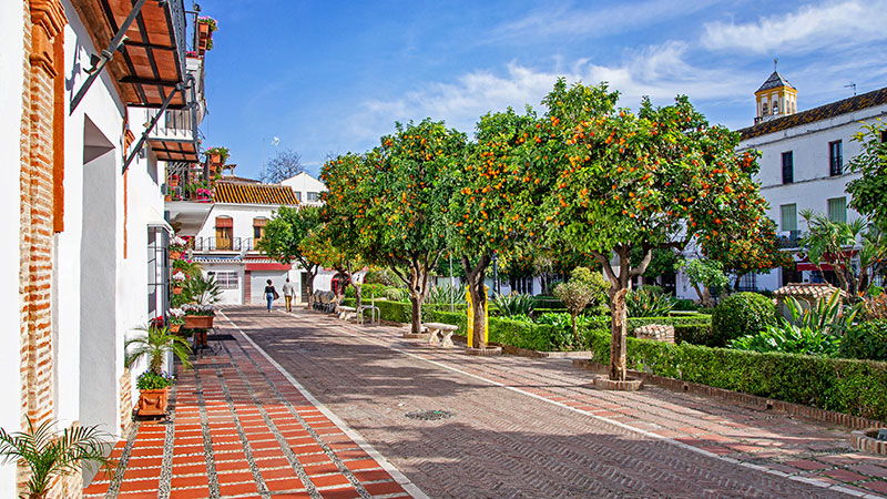 Appelsintrr langs en gate med hvite hus i Marbella